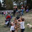 XI. Szigetköz ízei, Vármegye borai Fesztivál 3. nap