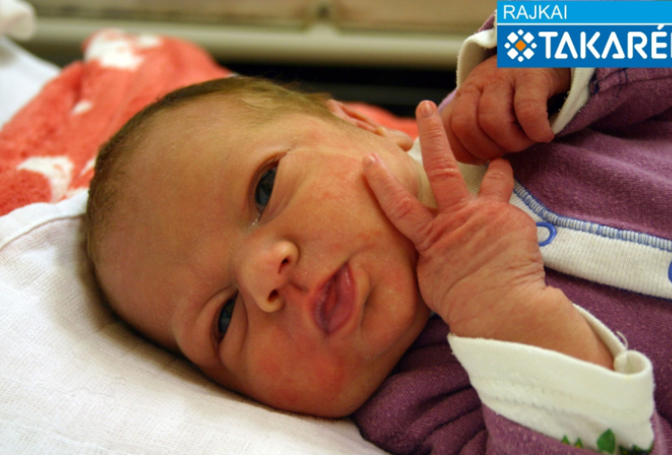 Farkas Dorina Ibolya, Mosonmagyaróvár