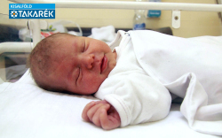 Fördős Réka, Mosonmagyaróvár