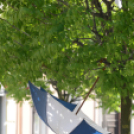 Belvárosi Üzletkör - Makett kiállítás Szombatján 