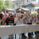 Szigetköz ízei, vármegye borai fesztivál / VÁRMEGYE SZÉPE - VÁRMEGYE HANGJA (Fotó: Horváth Attila)