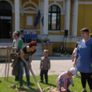 Gyereknap - Hansági Múzeum