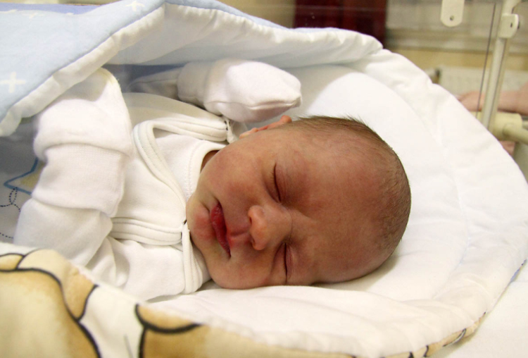 Pongrácz Dominik, Győrsövényház