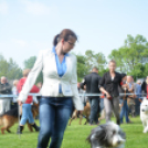 CAC kutyakiállítás (Fotó: Nagy Mária)