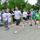 XII. Greiner Szigetköz Minimaraton (Fotó: Horváth Attila)