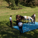 XII. Szigetköz ízei, Vármegye borai Fesztivál 2. nap