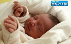 Orgován Klementina Kiara, Vásárosnamény