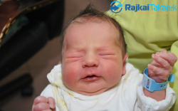 Hajnal Dominik, 3380 gr. Mosonmagyaróvár