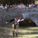 XI. Szigetköz ízei, Vármegye borai Fesztivál 2. nap Várárok