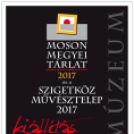 Moson Megyei Tárlat 2017 - Szigetköz Művésztelep 2017