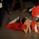 Jótékonysági műsor - Fehér és Máltai Szeretetszolgálat az Éltes iskola javára (Fotó: Horváth Attila)