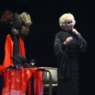 A Hospice Segítő Kéz Alapítvány Kuratóriumának jótékonysági estje 