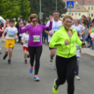 XIV. Greiner Szigetköz Félmaraton