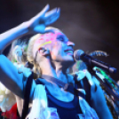 Voluta 1 nap (Fotó: Stipkovits Veronika és Bánhegyi István)