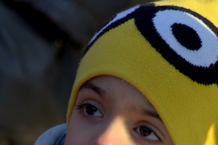 Madaras nap a Pillangó Óvoda és Mini Bölcsődében 