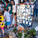 Apró kezek, Csodakertek - IX. Gyermek Kertépítő Verseny