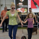 XII. Szigetköz ízei, Vármegye borai Fesztivál 3. nap