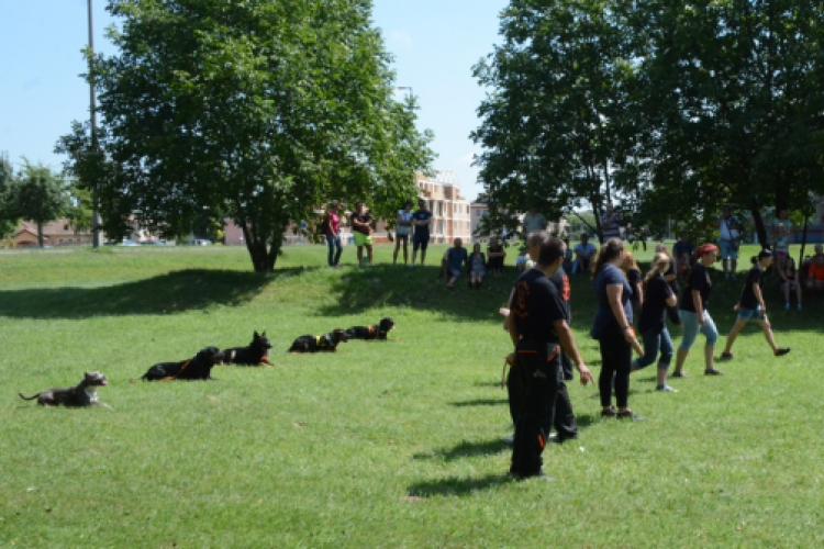 VÁROSKÖZPONTIAK NAPJA 2016, 2 nap (Fotó: Bánhegyi István)
