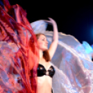 X. Jubileumi Hastánc Gála (Fotó: Bánhegyi István)