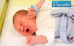 Molnár Zsolt, Hegyeshalom