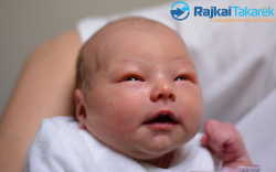 Kapui Lilien, 2940 gr. Sopron