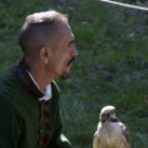 XII. Szigetköz ízei, Vármegye borai Fesztivál 2. nap