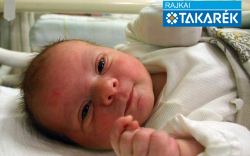 András Bence Tibor, Mosonmagyaróvár