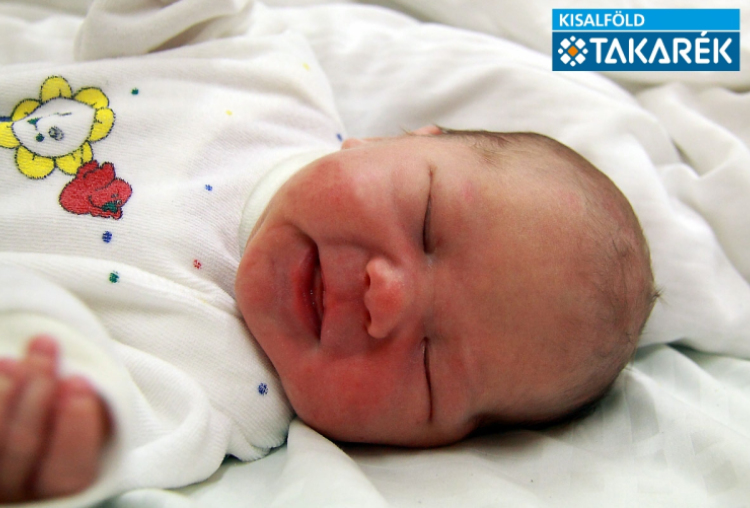 Kelemen Erik, Mosonmagyaróvár