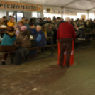 V. KOLBÁSZTÖLTŐ VERSENY ÉS FESZTIVÁL 