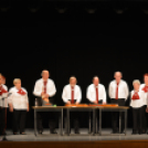 Jótékonysági műsor a Családok Átmeneti Otthona javára (Fotó: Nagy Mária)