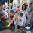 VII. Apró kezek, csodakertek Gyermek Kertépítő verseny