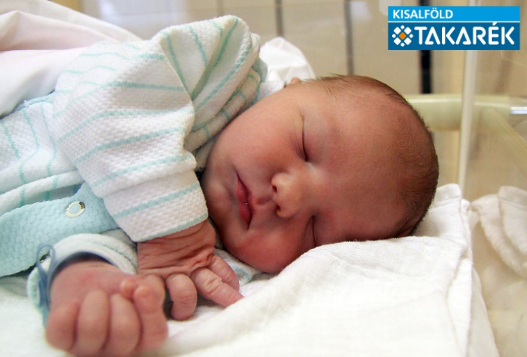 Vajas Bendegúz Benedek, Dunasziget