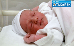 Sípos Ferenc, Halászi