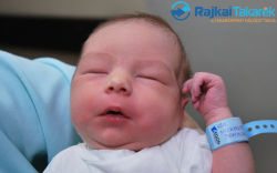 Vizkeleti Dominik, 3590 gr. Levél