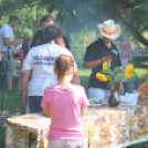Nyárbúcsúztató délelőtt és délután (Fotó: Nagy Mária)