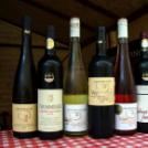 XII. Szigetköz ízei, Vármegye borai Fesztivál 3. nap