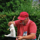 Családi nap a Gyerekek Átmeneti Otthonában