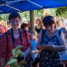 Apró kezek, Csodakertek - IX. Gyermek Kertépítő Verseny