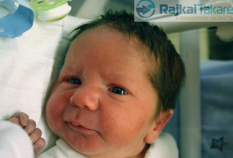 Gulyás Bálint, Levél