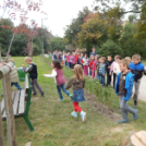 Labirintus és kilátó avatás Mosonmagyaróváron