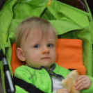 Mosonmagyaróvári Fotóegyesület Őszi kiállítása (Fotó: Nagy Mária)