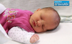 Bencsik Maja, Bősárkány