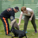 Pillangó Óvoda gyermeknap 2