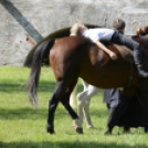 XII. Szigetköz ízei, Vármegye borai Fesztivál 2. nap