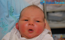 Gyovai Mátyás, 4140 gr. Bősárkány