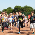 XV. Greiner Szigetköz Félmaraton