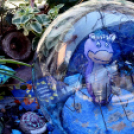 Virágzó Város Mosonmagyaróvár 2. nap (Fotó: Stipkovits Veronika)