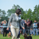 CAC kutyakiállítás (Fotó: Nagy Mária)