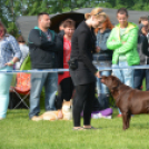 CAC kutyakiállítás (Fotó: Nagy Mária)