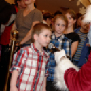 MIKULÁS - NAP (fotó: Horváth Attila)